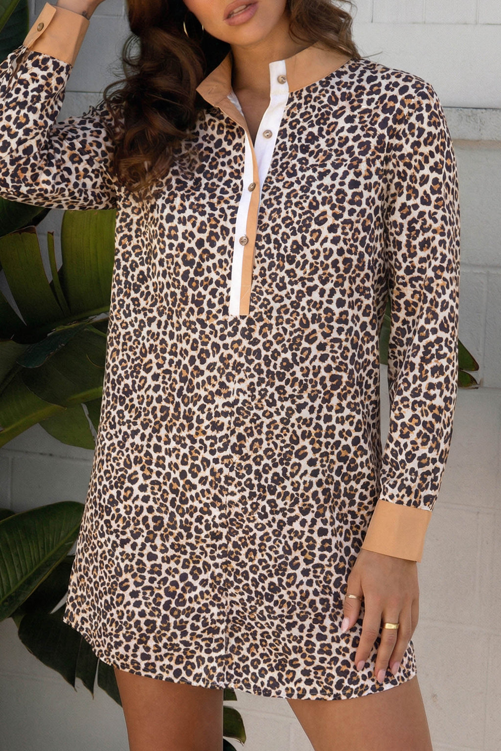 Multicolor Leopard-Print Collared Flared Dress